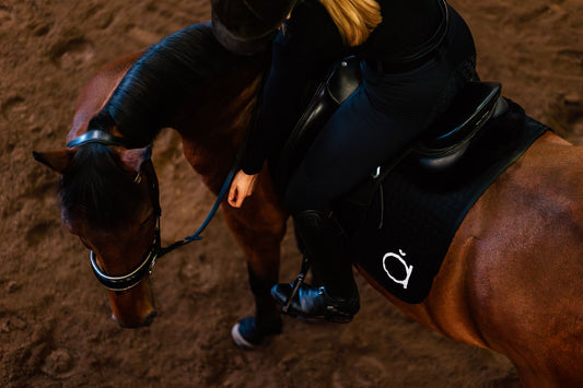 Made in Finland: Tradition, Quality, and Responsible Manufacturing for Serious Equestrians